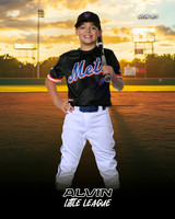 MJR_METS_12U_Murray_Kason_CAM13627_SUNSHINE