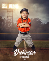 TB_TIGERS_Shafer_Harper_DLL12289_FIELD LIGHTS_
