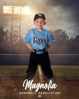 4_5U_Rays_Stephens_William_MAG25465_FIELD LIGHTS_