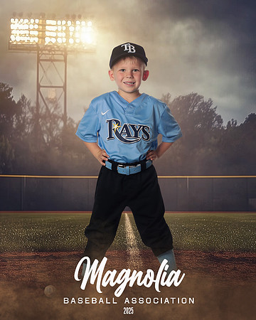 4_5U_Rays_Stephens_William_MAG25465_FIELD LIGHTS_