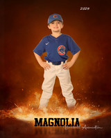 6U_Cubs_McCullen_Gentry_MAG11531_ROF