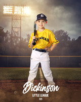 CP7_WOLVERINES_Bordelon_Beckett_DLL12426_FIELD LIGHTS_