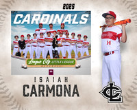 AAA.Lutz.Cardinals_Carmona_Isaiah_143A1979_MM